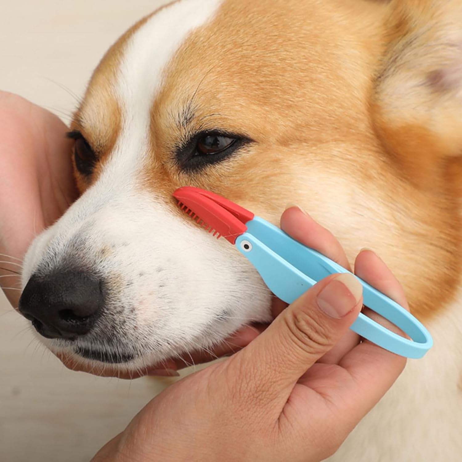 Pet cleaing tools