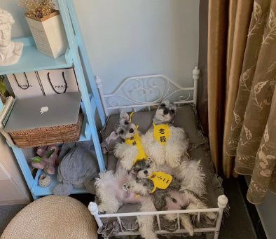 Dog Kennel Cat Kennel Pet Hanger Swing Cradle Full Dog Bed